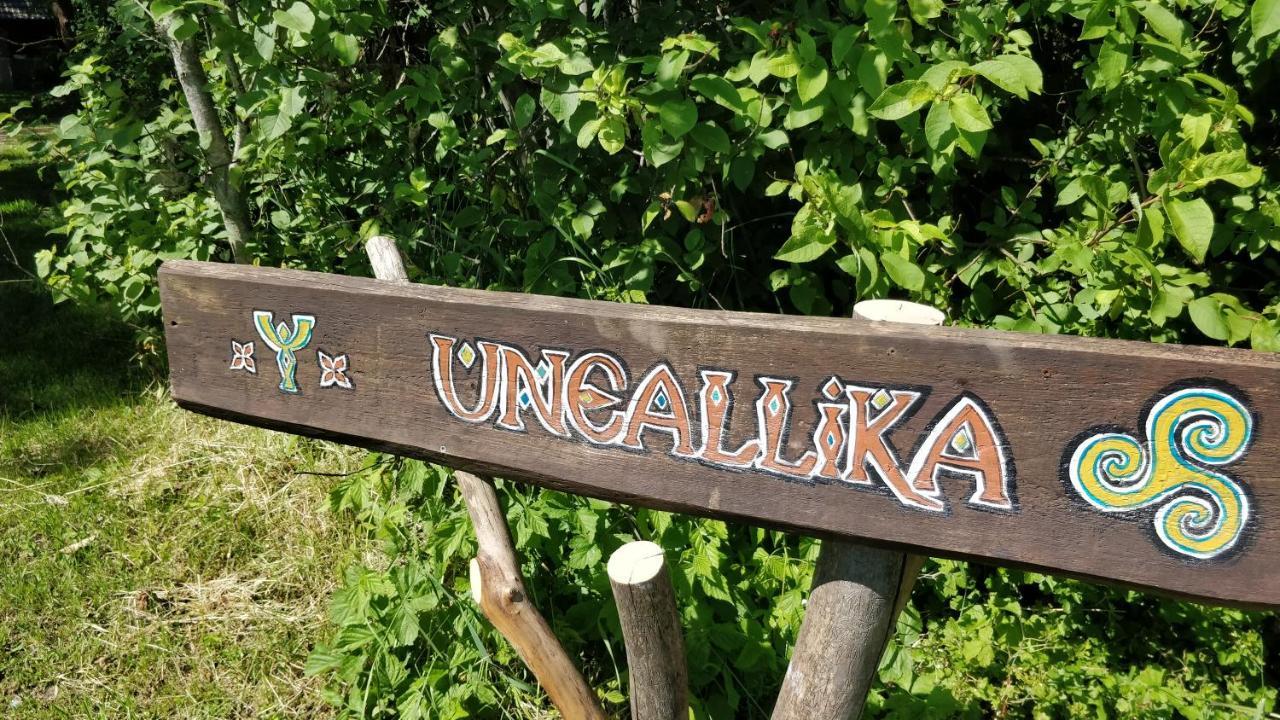 Uneallika Puhkemaja-Kuelalistemaja Pae Luaran gambar