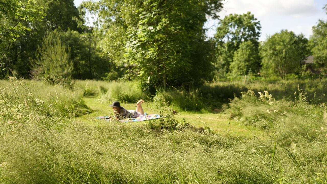 Uneallika Puhkemaja-Kuelalistemaja Pae Luaran gambar
